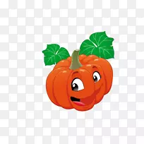 Calabaza����-��ͨˮ�����߲�-������