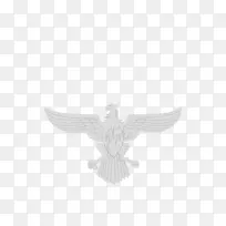 ʳÈâÄñ-¿ÕÈôÍø ʳÈâÄñ-¿ÕÈôÍø