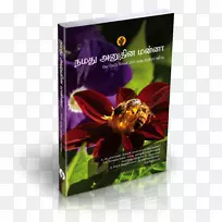 �������ǵ��ճ����-������