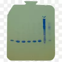 AdobeAcrobat������ӿ�ѧ�͹�����Ŀ��UCʥ�Ͱ���pdfϵͳ�����ͼ��.��ת��dna��ȡ-������