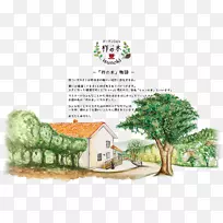 树木开花植物生态系统卡通树-空若网 树木开花植物生态系统卡通树-空若网