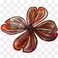 昆虫蜻蜓花瓣图案-花层-空若网 昆虫蜻蜓花瓣图案-花层-空若网