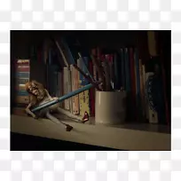 电视电影摄影师时尚灯箱摄影师-空若网 电视电影摄影师时尚灯箱摄影师-空若网