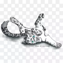 狗爪-空若网 狗爪-空若网