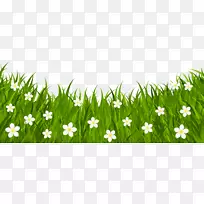 ��ɫ����ڲʵ�������-���ݵ�PNG����������-������