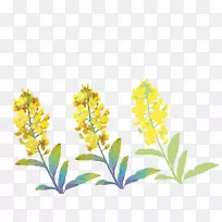 ���򻨻���-3���ֻ涬������-������