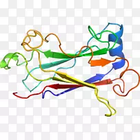 线点生物剪贴画线-空若网 线点生物剪贴画线-空若网