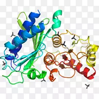 人体首饰有机体线剪贴画线-空若网 人体首饰有机体线剪贴画线-空若网