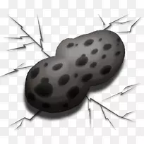 害虫-昆虫-空若网 害虫-昆虫-空若网