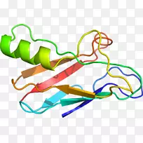 �ߵ������-��-������