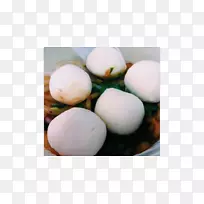 ��Ѽ���䷽-����-������