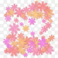 橙色花-橙色,简单的花背景-空若网 橙色花-橙色,简单的花背景-空若网