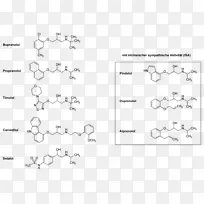 β受体阻滞剂卡维地洛钙通道阻滞剂心得安不良反应-空若网 β受体阻滞剂卡维地洛钙通道阻滞剂心得安不良反应-空若网