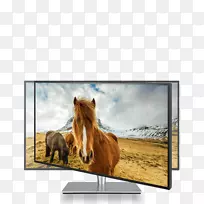 电脑显示器srgb ips面板asus图形显示分辨率-空若网 电脑显示器srgb ips面板asus图形显示分辨率-空若网