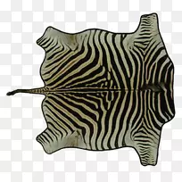 斑马大猫陆生动物野生动物斑马-空若网 斑马大猫陆生动物野生动物斑马-空若网