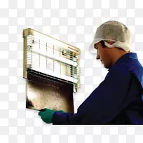 昆虫有机食品-西电有机农业定义-昆虫-空若网 昆虫有机食品-西电有机农业定义-昆虫-空若网