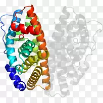 人体珠宝有机体剪贴画.珠宝-空若网 人体珠宝有机体剪贴画.珠宝-空若网