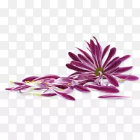 银行电子邮件-Fotolia网站-空若网 银行电子邮件-Fotolia网站-空若网