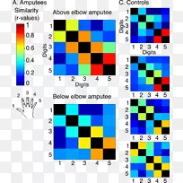 �ߵ�������-������