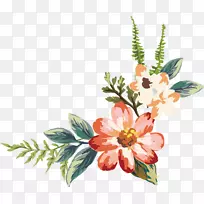 Ë®²Ê».ºìɫˮ²Ê»-¿ÕÈôÍø Ë®²Ê».ºìɫˮ²Ê»-¿ÕÈôÍø