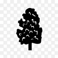 开花植物叶型树-空若网 开花植物叶型树-空若网