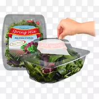 叶类蔬菜食品草本-蔬菜-空若网 叶类蔬菜食品草本-蔬菜-空若网