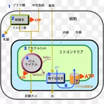 线材料点能量体-空若网 线材料点能量体-空若网