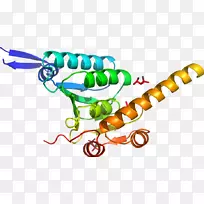 人体珠宝线有机体剪贴画线-空若网 人体珠宝线有机体剪贴画线-空若网
