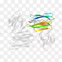 平面设计剪贴画.设计-空若网 平面设计剪贴画.设计-空若网