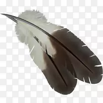 羽毛-羽毛PNG-空若网 羽毛-羽毛PNG-空若网