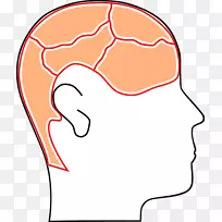 ��֪����ѧ��֪���ؼ�����������-������