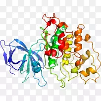 Êß²ËÓлúÌåϵÁмôÌù»-Êß²Ë-¿ÕÈôÍø Êß²ËÓлúÌåϵÁмôÌù»-Êß²Ë-¿ÕÈôÍø