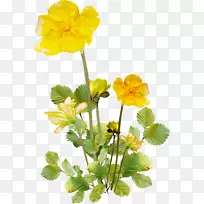 插花艺术.手绘花纹-空若网 插花艺术.手绘花纹-空若网