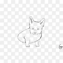 胡须猫狗繁殖鼻子-柯基小狗-空若网 胡须猫狗繁殖鼻子-柯基小狗-空若网