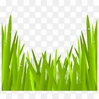 绿玻璃-绿草透明PNG剪贴画图像-空若网 绿玻璃-绿草透明PNG剪贴画图像-空若网