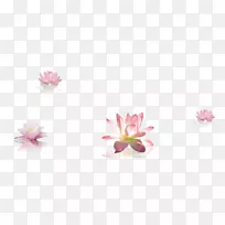 花瓣切花,身躯,珠宝,开花植物.莲花装饰材料-空若网 花瓣切花,身躯,珠宝,开花植物.莲花装饰材料-空若网