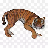 ��ʨ����Ұ������ʨ-������