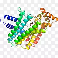 人体首饰有机体线剪贴画线-空若网 人体首饰有机体线剪贴画线-空若网