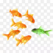 ����������ĸ���-��ѧ-������