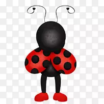 瓢虫昆虫动物剪贴画-昆虫-空若网 瓢虫昆虫动物剪贴画-昆虫-空若网