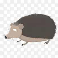 普通负鼠鼻子电脑鼠区系-猪-空若网 普通负鼠鼻子电脑鼠区系-猪-空若网