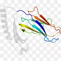 �ߵ������-��-������