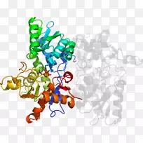 ʳ�����߼�����-��-������