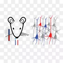 平面设计绘画剪贴画设计-空若网 平面设计绘画剪贴画设计-空若网