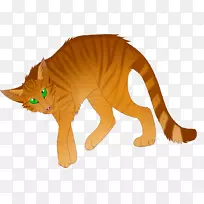 ����è���Ӷ���Ұ������è-������