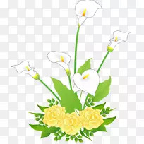 花卉设计切花花束植物茎花-空若网 花卉设计切花花束植物茎花-空若网