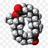 圣诞节点缀球水果-圣诞节-空若网 圣诞节点缀球水果-圣诞节-空若网
