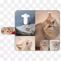 Сè�룬�����ӣ�צ��-Сè-������