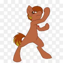 狮子猫马犬科-红宝石艺术-空若网 狮子猫马犬科-红宝石艺术-空若网