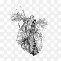 绘制Tumblr心脏博客-心脏-空若网 绘制Tumblr心脏博客-心脏-空若网